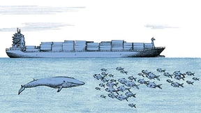 „Wie in der Badewanne  hin und her rutschen“