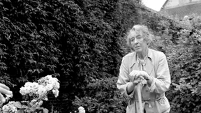 Von Gurkenpflückern und Glücksspielern