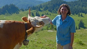 Verbraucherministerin Ilse Aigner wechselt nach Bayern