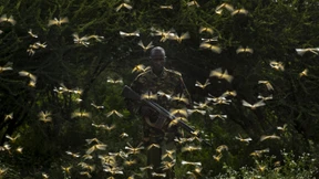 Ostafrika droht eine Hungersnot