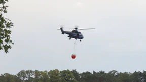 Waldbrände so früh wie möglich erkennen