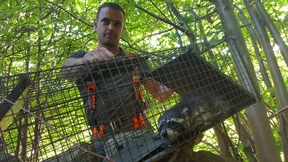 Süß, pelzig, mörderisch