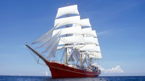 Rettungsanker Schiedsgericht