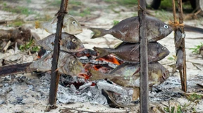 Tage zum Vergessen und Staunen auf Mafia