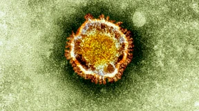 Coronavirus: Noch fehlen Informationen