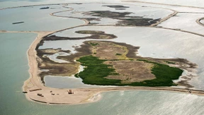 Fünf künstliche Inseln für mehr Biodiversität