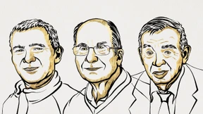Chemie-Nobelpreis für Nanoforscher für Entdeckung von Quantenpunkten