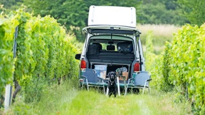 Wildes Campen in privaten Gärten