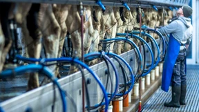 Der Markt für Milch steht vor einem historischen Umbruch