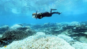 Australien will wieder für Touristen öffnen