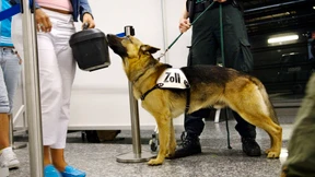 1,4 Kilo Heroin in Handtaschen versteckt 