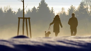 Wer einen Hund hat, hat es leichter auf viele Schritte am Tag zu kommen.
