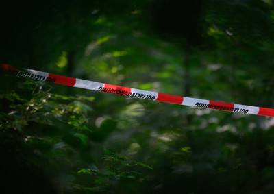 Was haben Sicherheitsbehörden in einem Wald in Brandenburg gefunden? 
