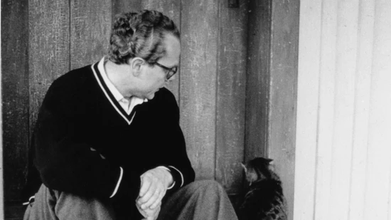 Cat Content gab es auch schon im Jahr 1960. Aber Arno Schmidt war alles andere als glücklich mit der Begeisterung, die seine Frau Alice für die Tiere in Bargfeld entwickelte. Das erklärt den schiefen Blick. Foto Arno Schmidt Stiftung Bargfeld