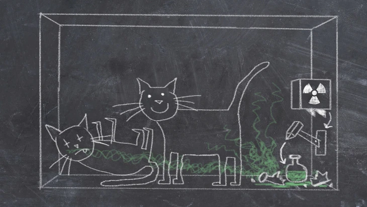 Schrödingers Katze: Eingesperrt in einem blickdichten Kasten stirbt das arme Tier, sobald in einem radioaktiven Präparat ein Atomkern zerfällt.
