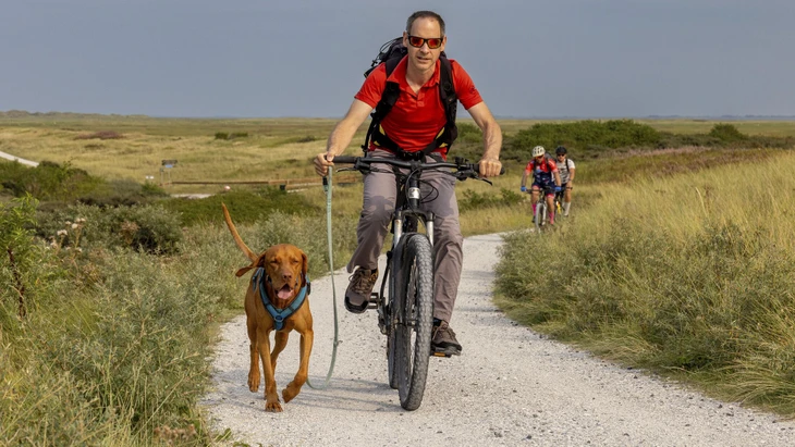 Bewegung ist ein Weg, Herz und Kreislauf gesund zu halten.