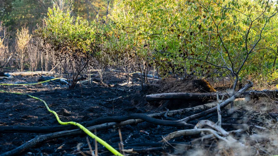Der Wald in Mörfelden-Walldorf brennt im Juli auf einer Fläche von 40.000 Quadratmetern.