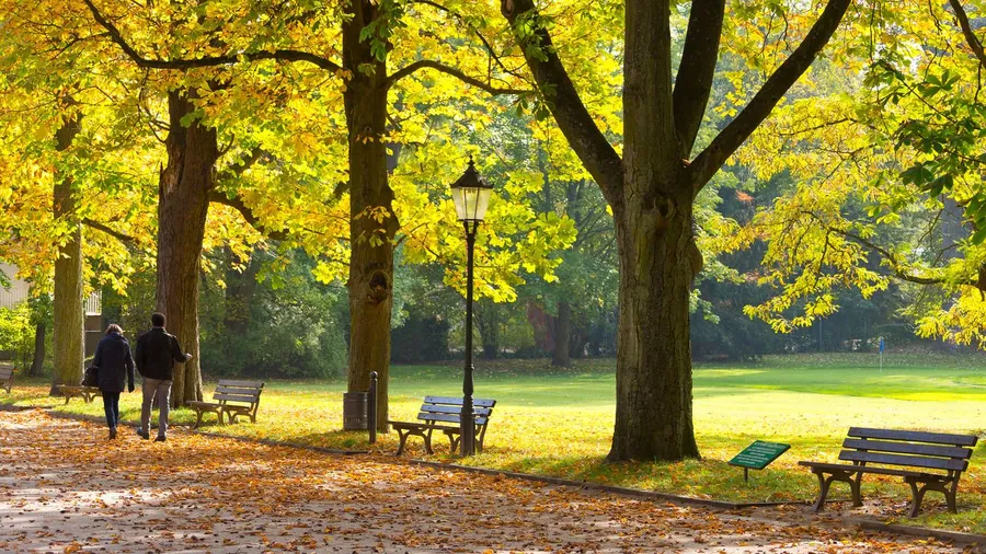 Der entspannte Herbstspaziergang fällt dem österreichischen Rentner leichter.