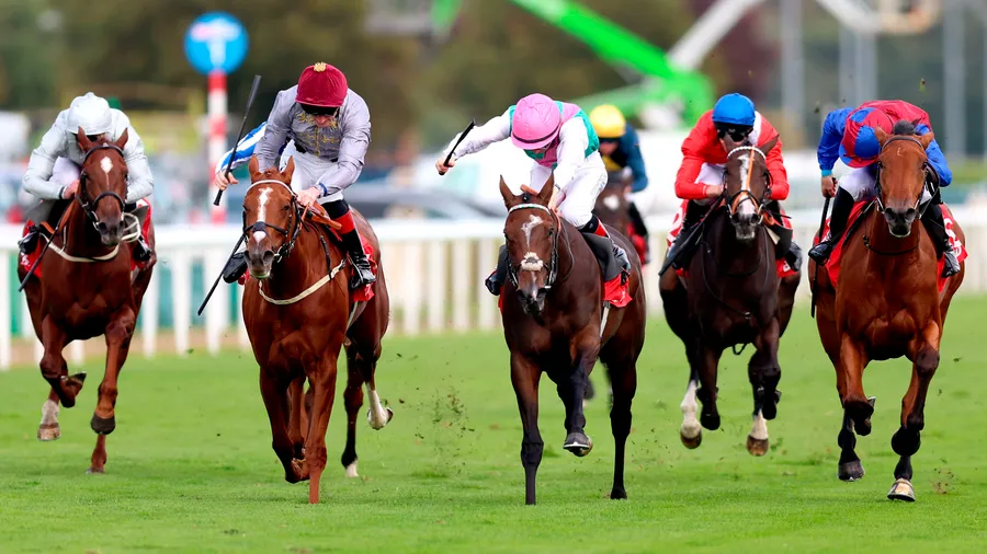 St Leger Stakes 2025: Nach dem Sieg von Aylin (2. v. l.) war es sprichwortgemäß wieder Zeit, Aktien zu kaufen.