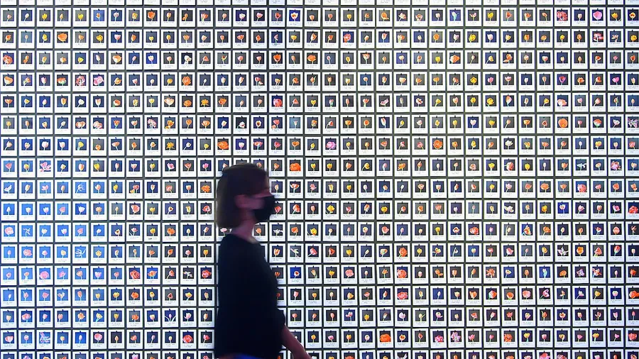 Künstliche Intelligenzen klassifizieren mit Hilfe statistischer Algorithmen Daten