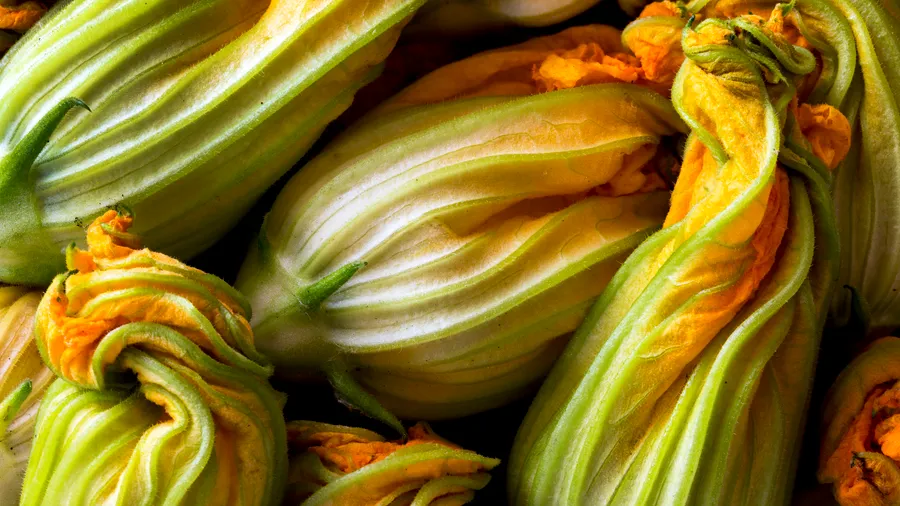 Zucchiniblüten sind nicht nur hübsch, sondern richtiggehend lecker.