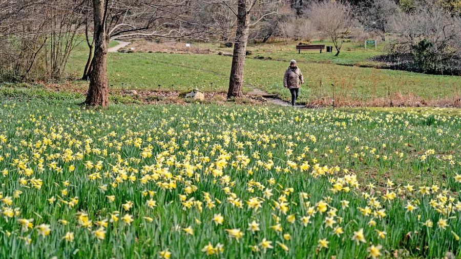 Die Natur ist erwacht: Im Botanischen Garten sind Blüten und Farben zurück.