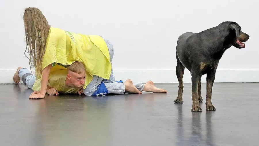 So geht Kunst für Tiere: Die Künstler Krõõt Juurak und Alex Bailey performen für Orpheus, 2020