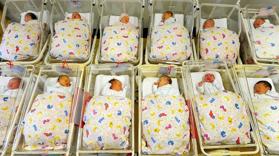 Viele Babys liegen zusammen auf der Neugeborenenstation im Krankenhaus St. Elisabeth und St. Barbara in Halle in ihren Bettchen.