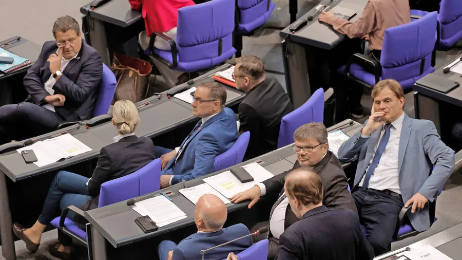 Rechte Populisten: die Fraktion der AfD im Bundestag