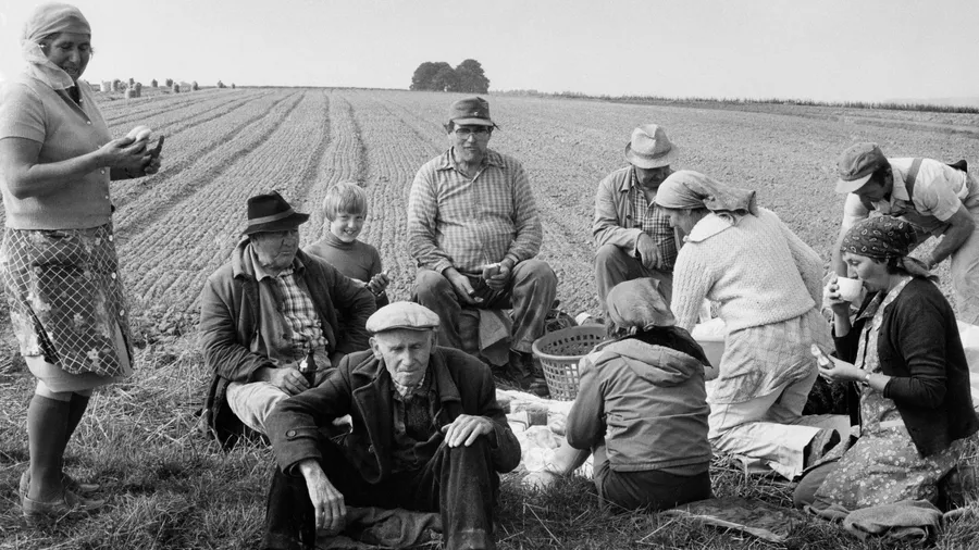 Kartoffelernte in Nordhessen im September 1982