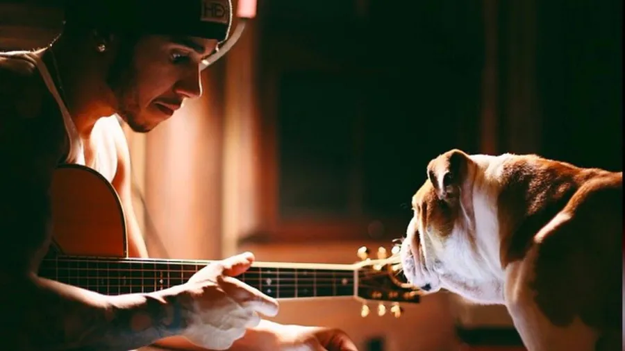 Lewis Hamilton zieht beim Musik machen manch ungewöhnlichen Zuhörer in seinen Bann.