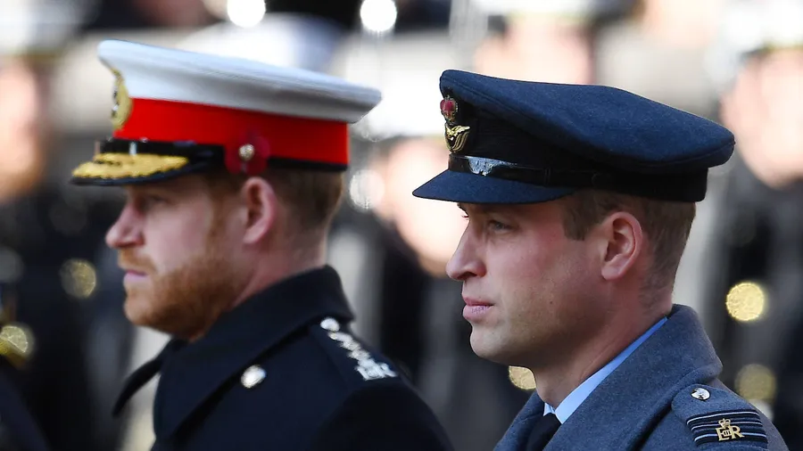 Verraten diese Minen was? Prinz Harry und Prinz William bei der Kranzniederlegung am Remembrance-Sonntag