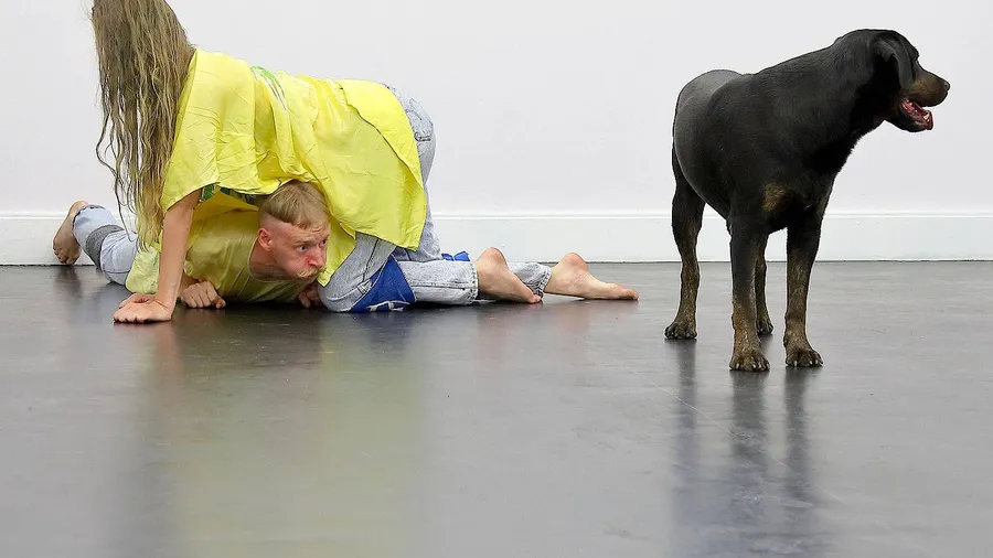 Tanzperformance mit Vierbeinern: Krõõt Juurak & Alex Bailey „ Performances for Pets, Performance for Orpheus“, 2020