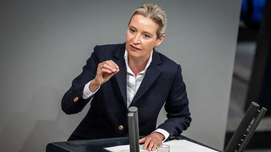 Mit den Gebrüdern Grimm kennt sie sich nicht aus: Alice Weidel während der Generaldebatte im Bundestag