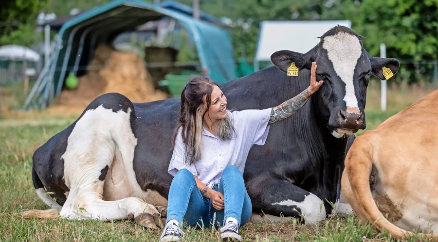 Täglicher Besuch: Hanna Barth mit den Rindern auf dem Lebenshof Anam Cara in Eppertshausen