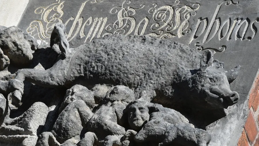 „In Stein gemeißelter Antisemitismus“: die mittelalterliche Schmähskulptur an der Außenwand der Stadtkirche Sankt Marien in Wittenberg