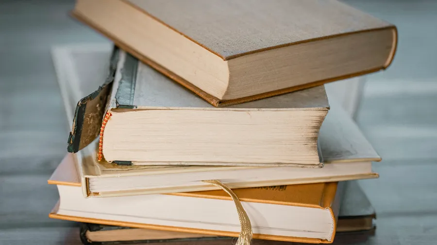 Futter für die KI: antiquarische Bücher