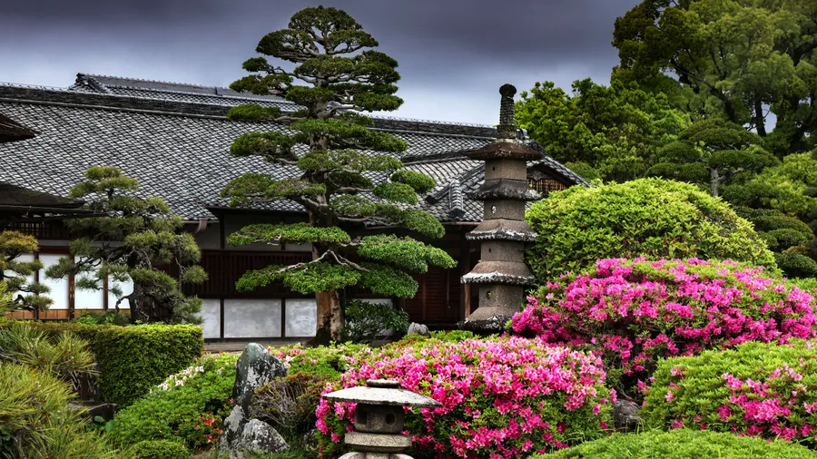 Hinter verdeckten Fenstern keine Ruh: ein traditioneller japanischer Garten mit Pagode, Teehaus und blühenden Sträuchern