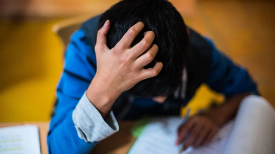 Gerade das Pensum im Homeschooling bereitet vielen Jugendlichen sorgen, berichtet Eckert.