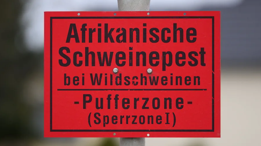 Nach Behördenangaben ist die Seuche weitgehend unter Kontrolle, die Gefahr aber nicht gebannt.