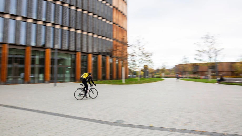 Asylantrag als Eichhörnchenfutter