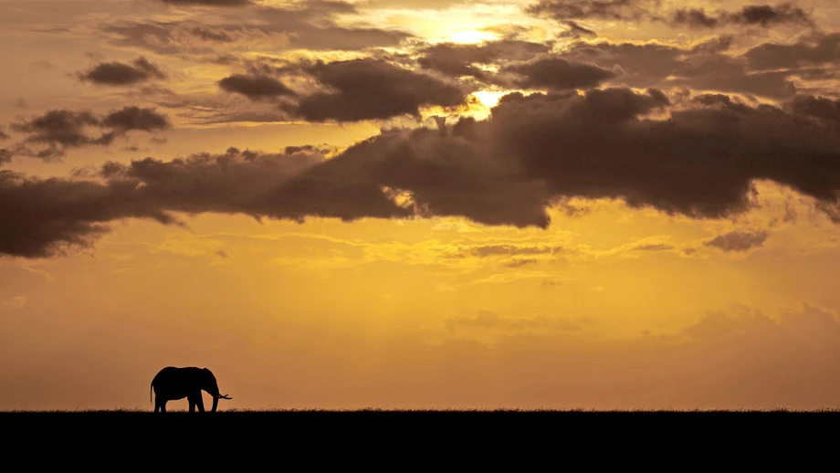 Der Tod ist das Leben
