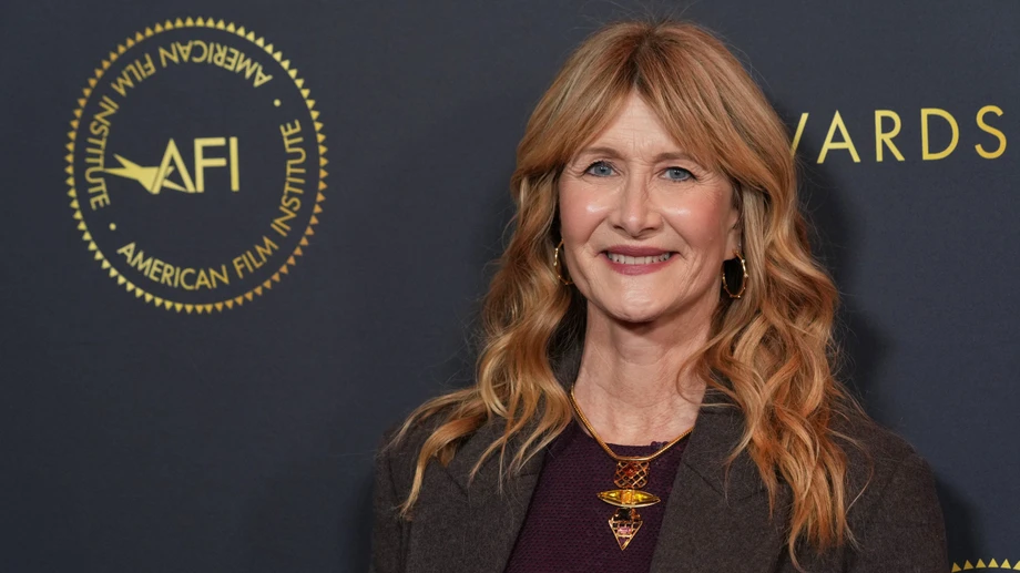 Laura Dern will Serie über Jeffrey Epstein drehen