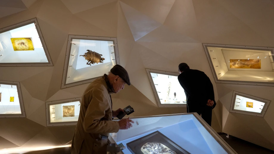 Eine Fahrt ins Innere der Erde