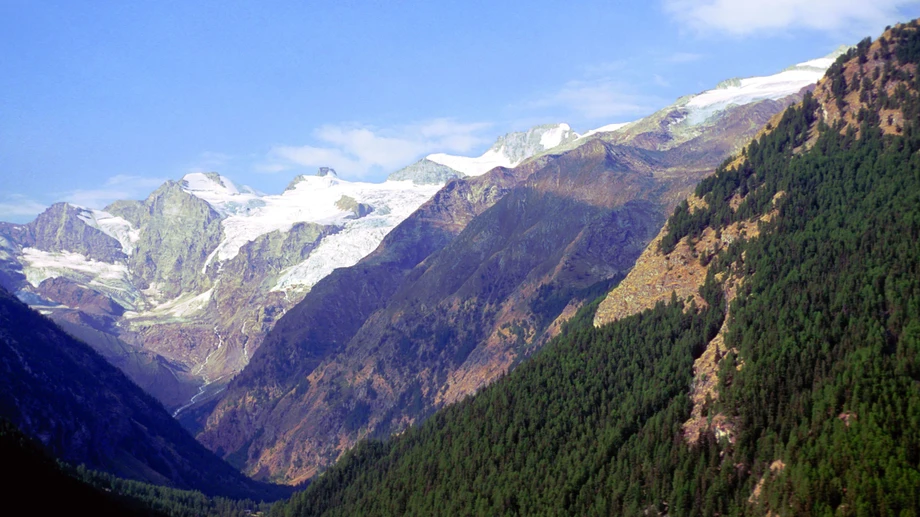 Drei Bergsteiger an italienischem Viertausender getötet