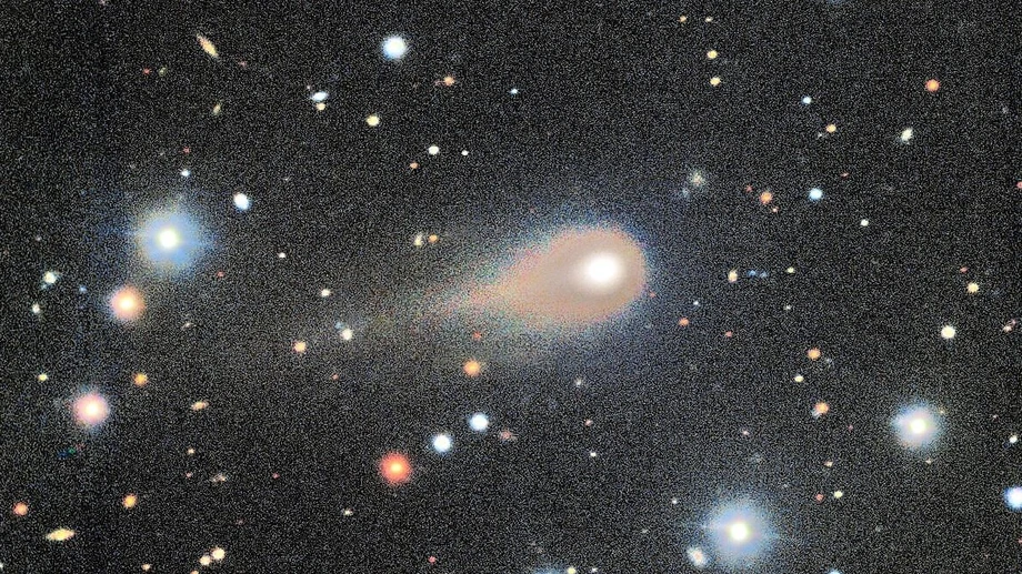 Alle Augen auf 3I/ATLAS