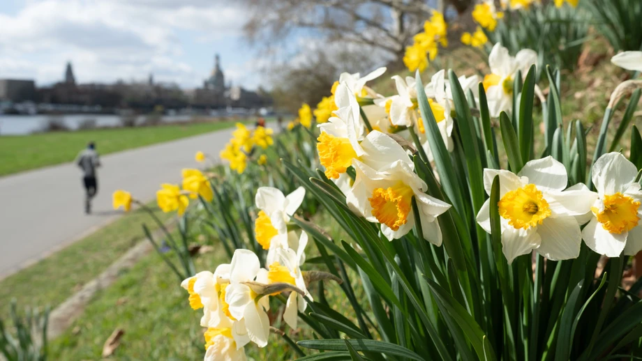 Was der „Frühling der Reformen“ tatsächlich bringt