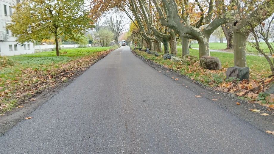 Neuer Radweg am Rhein eröffnet