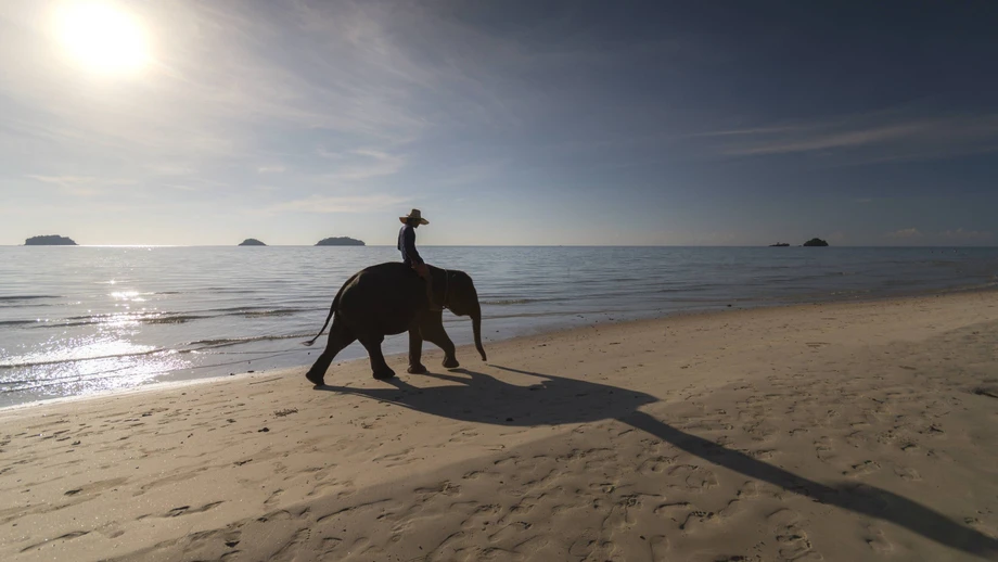 Ferien für Fortgeschrittene