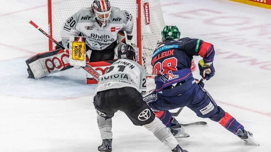 Herber Dämpfer für Kölner Haie